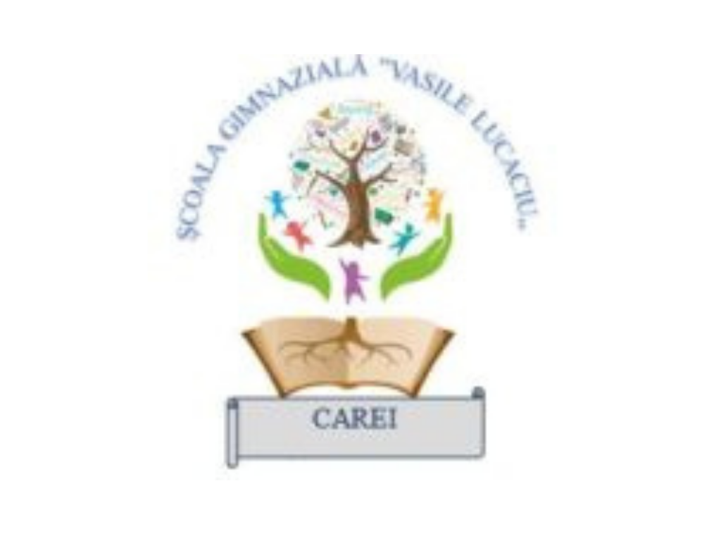 VASILE LUCACIU SEDONDARY SCHOOL